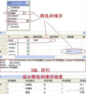 数据库开发基本操作-SQL Server数据库技术(上)_sql_13