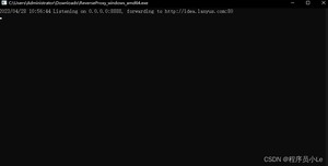 在这里插入图片描述