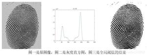 图一是原图像，图二是灰度直方图，图三是全局阈值的结果