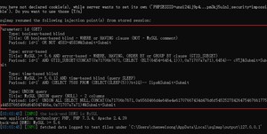 image-20230728030506674