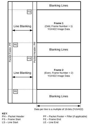 Digital-Interlaced-Video