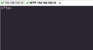 image-20230906202809792