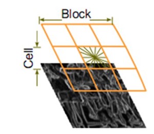 图像特征提取三大法宝:HOG特征,LBP特征,Haar特征