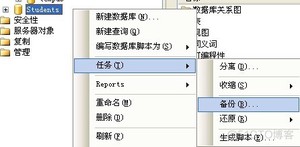 数据库开发基本操作-SQL Server数据库技术(上)_身份验证_20