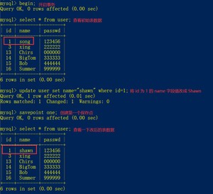 image-20210226185151636