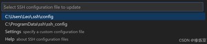 选择默认SSH配置文件