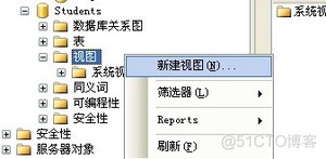 数据库开发基本操作-SQL Server数据库技术(上)_sql_11