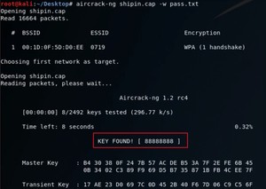 image-20200815161440967